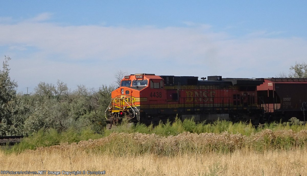 BNSF 4438